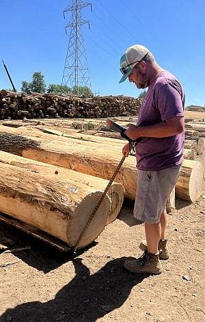 Man wearing a hat and measuring a log in a lumber yard